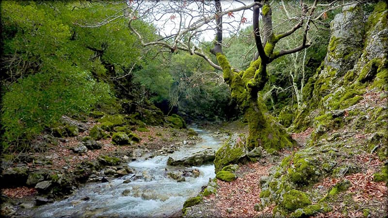 Rouvas Gorge