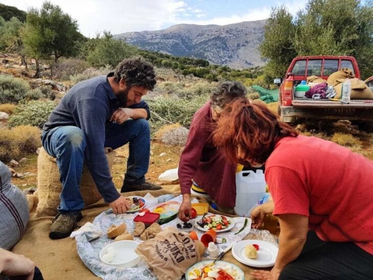 Olive Farm in Crete