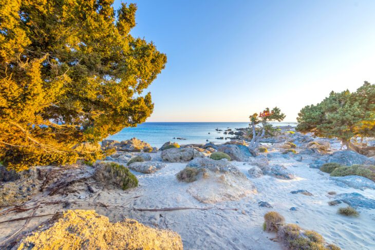 Kedrodasos Beach - Cedar Forest Crete