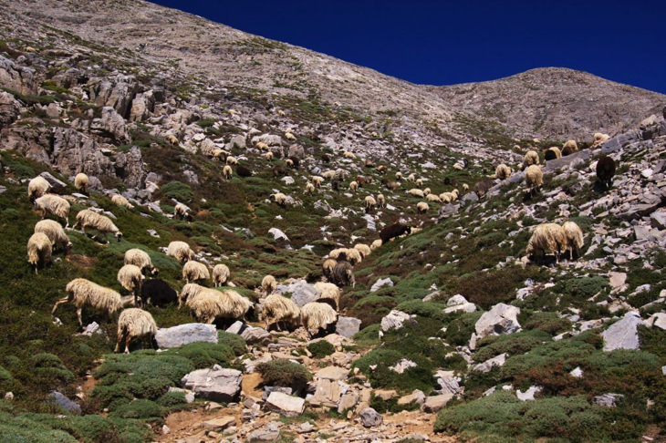 Hiking track to Psiloritis Mount Ida