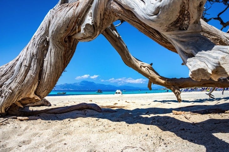 Plaża na wyspie Chrissi