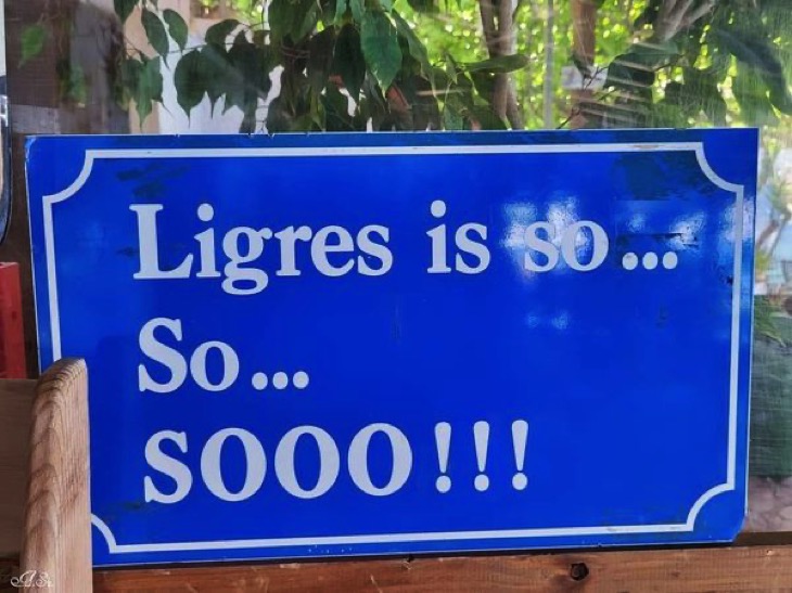 Ligres beach sign