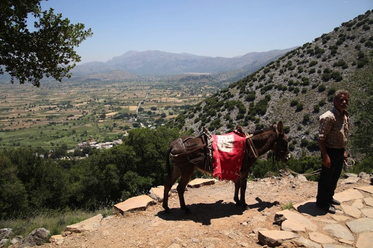 Locals and donkeys in Lassithi Plataue