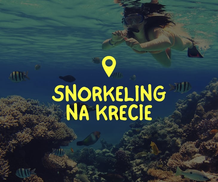 Snorkeling Na Krecie - Poznaj Podwodny świat Krety!